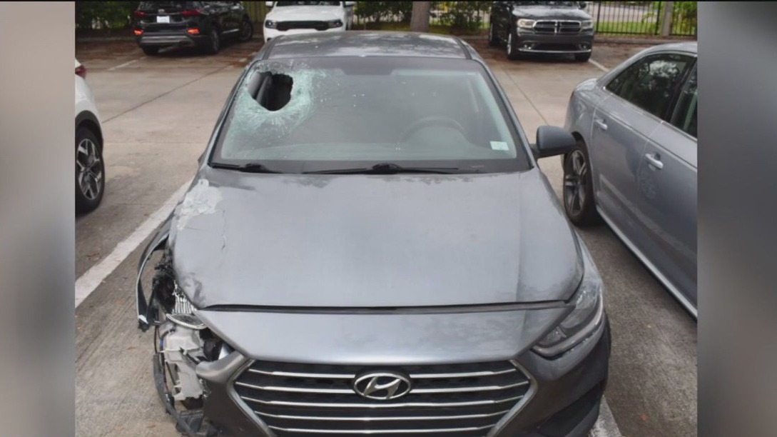 Hit-and-run driver search in Pinellas Park